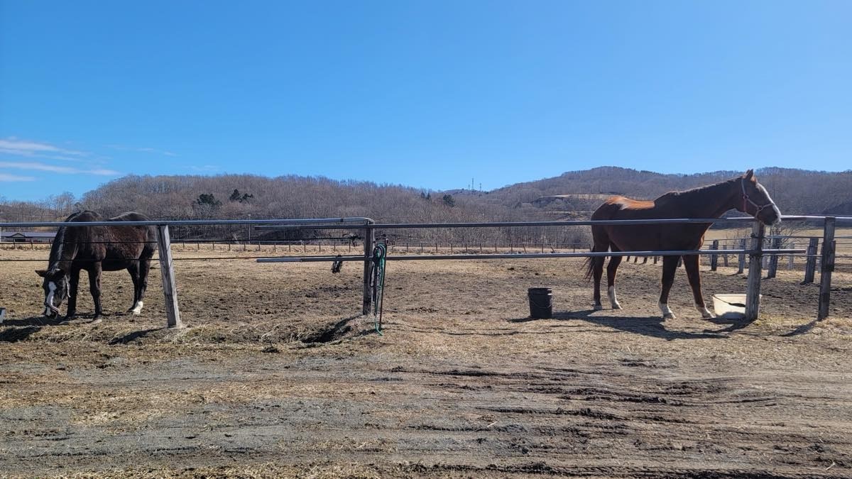 d687d92500e76e2d6e9f830b56c47982-1773631125.jpg d687d92500e76e2d6e9f830b56c47982-1773631125.jpg